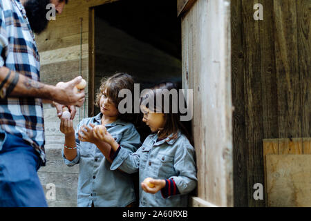 Father with two kids collecting eggs at chicken coop on an organic farm Stock Photo