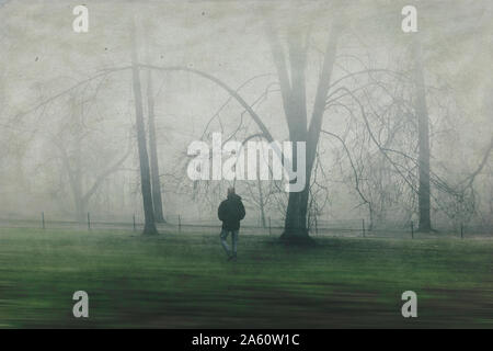 Man walking on meadow with trees, fog Stock Photo
