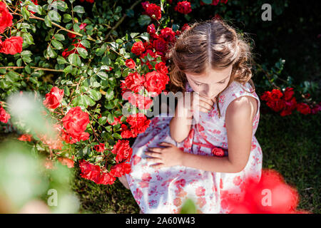 Girl sitting beside red rosebush on a meadow Stock Photo