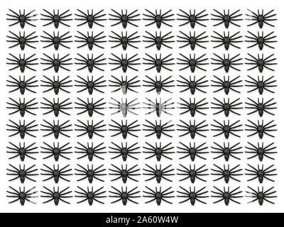 Black spiders on white background. Spider pattern. A lot of spiders. Many spiders. Isolated on white background Stock Photo
