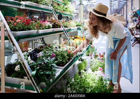 Young woman choosing flowers at a shop Stock Photo