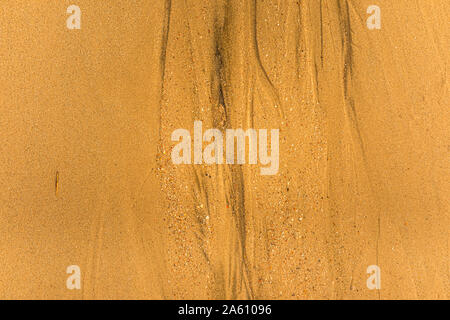 Close-up of sand with tidal ways and shells on the beach Stock Photo
