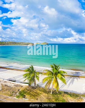 Aerial panoramic by drone of palm-fringed beach washed by Caribbean Sea, Antilles, West Indies, Caribbean, Central America Stock Photo