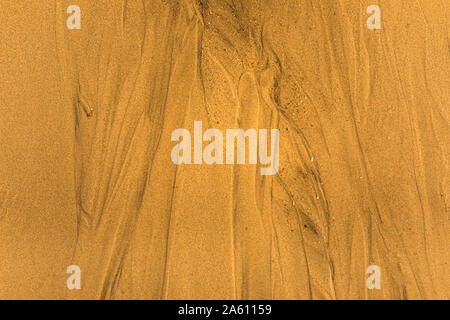 Close-up of sand with tidal ways and shells on the beach Stock Photo
