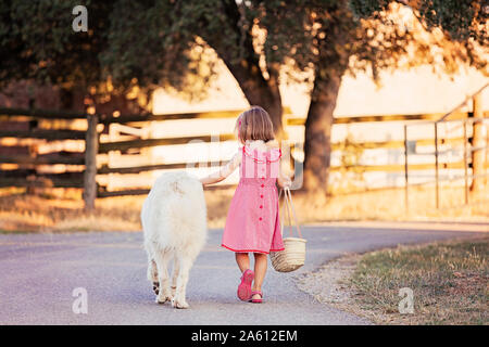 Back view of little girl walking beside big white dog on country road Stock Photo