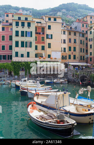 Camogli fishing port, Camogli, Riviera di Levante, Liguria, Italy, Europe Stock Photo