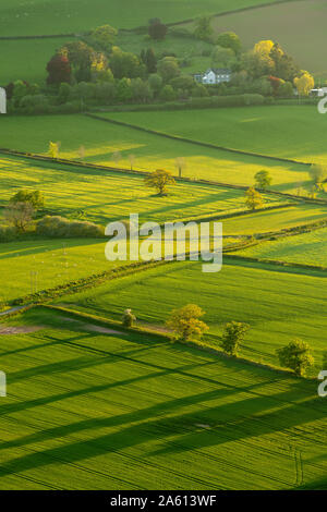 Lush rolling farmland in spring in the Brecon Beacons National Park, Powys, Wales, United Kingdom, Europe Stock Photo