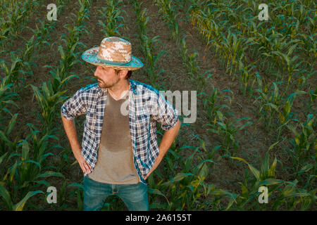 Tired exhausted farmer standing in cultivated sorghum field looking over the crops in his sweaty shirt after hardworking agricultural activity Stock Photo