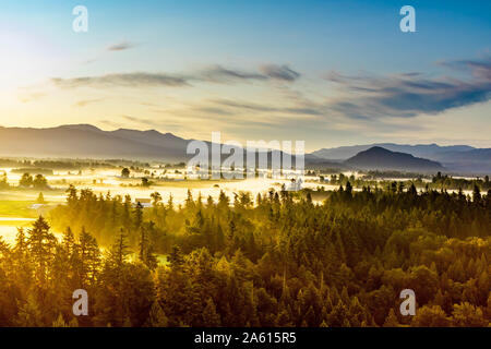 Aerial view of sunrise over Mount Rainier National Park, Washington State, United States of America, North America Stock Photo