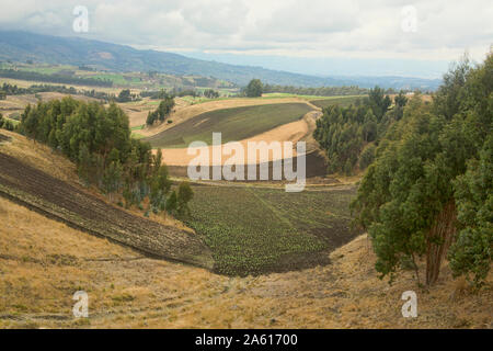 The fertile Andean highlands under Chimborazo, La Moya, Ecuador Stock Photo