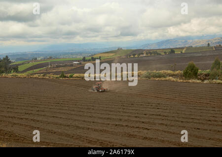 The fertile Andean highlands under Chimborazo, La Moya, Ecuador Stock Photo