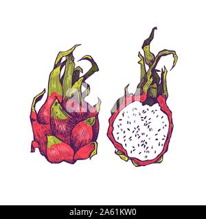 Hand drawn exotic colorful fruits. Engraved style illustration. Vintage dragon fruit frame. Pitaya or pitahaya Stock Vector