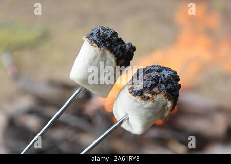Two marshmallows cooking over an open flame. Stock Photo
