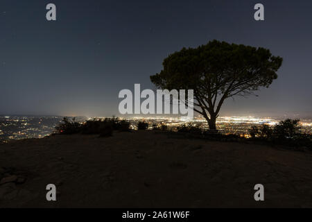Night view of the Wisdom Tree on Burbank Peak near Griffith Park and Hollywood in Los Angeles, California. Stock Photo