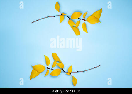 Autumn composition, frame of leaves. Two branches with yellow leaves, plum, on a light blue background. Flat lay, top view, copy space. Stock Photo