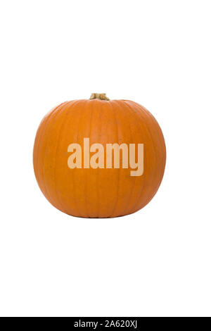 Whole pumpkin isolated on white background Stock Photo