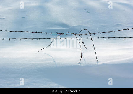snow and barbed wire mesh Stock Photo