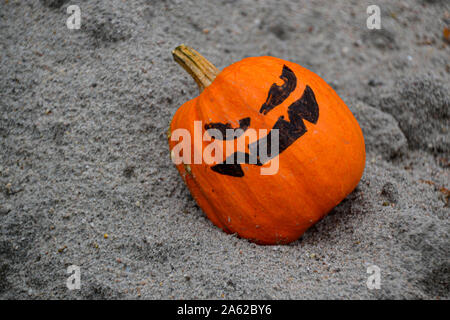 Pumpkins from all over the world | Pumpkin collections | Happy Halloween | Creepy Pumpkins | Pumpkin figures | Autumn pictures | Autumn decoration Stock Photo