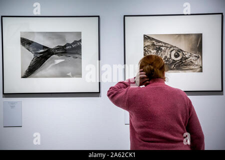 A woman looks artworks at the Exhibition 'Photography and science' of photographer Berenice Abbott in The Multimedia Art Museum of Moscow, Russia Stock Photo