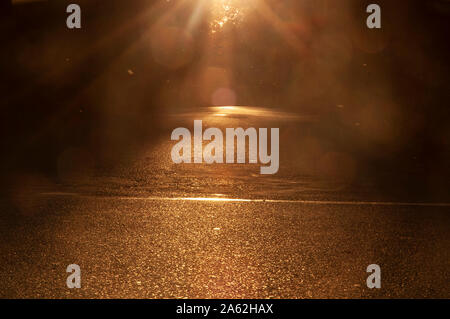 Rays of the setting sun with bokeh over an empty asphalt street, copy space. Stock Photo