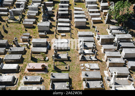 Elevated view of the ancient Jewish cemetery of the famous town of Pisa with old stone tombs in a sunny summer day, Tuscany, Italy Stock Photo