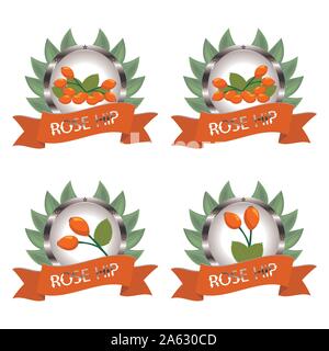 Abstract vector icon illustration logo for whole ripe rose hips branch with green leaf in background. Rose Hip pattern consisting of berry label, raw Stock Vector