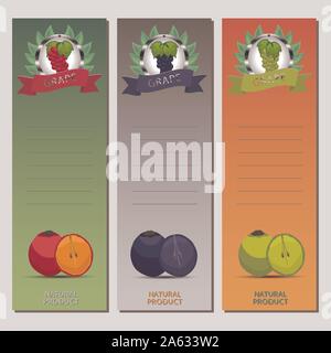 Abstract vector icon illustration logo for whole ripe branch grape, slice half berry. Grape pattern consisting of card label, natural design sign food Stock Vector