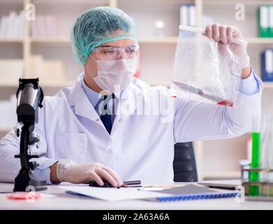 The forensics investigator working in lab on crime evidence Stock Photo