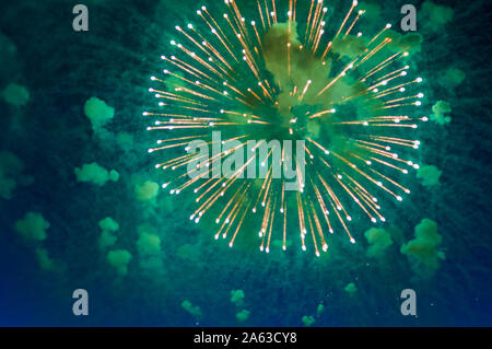 Inexpensive fireworks, over the city, green orange and blue closeup . Celebration in poor country Stock Photo