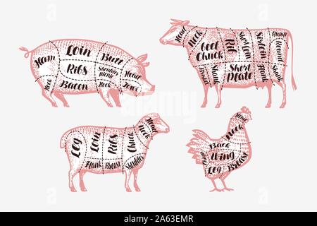 Meat cutting scheme. Butcher shop, butchery concept. Vintage vector illustration Stock Vector