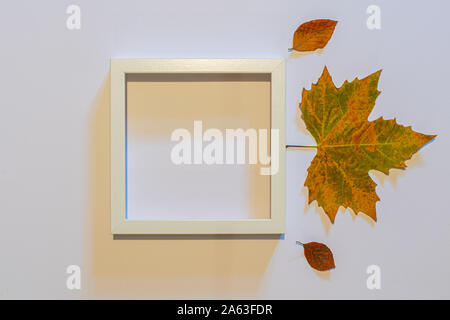 Autumn composition. Dried leaves on white background. Autumn, fall, halloween, thanksgiving day concept. Flat lay, top view, copy space Stock Photo