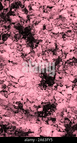Light pink Abstract vertical Textures Ash wood background closeup Stock Photo