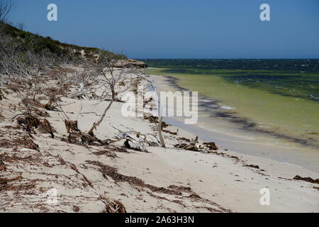Wonderful Coastlines - pure nature, Australia Beekeepers Nature Reserve Stock Photo