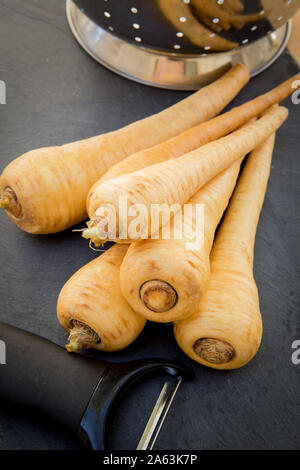 Fresh Parsnips washed and ready to peel with a vegetable peeler with a stainless steel colander in the background Stock Photo