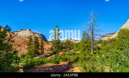 The white, yellow and orange colors of the sandstone Mountains and Mesas along the Zion-Mt.Carmel Highway on the East Rim of Zion National Park in UT Stock Photo