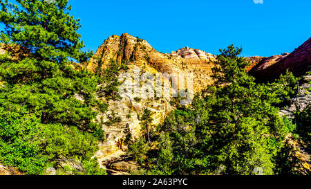 The white, yellow and orange colors of the sandstone Mountains and Mesas along the Zion-Mt.Carmel Highway on the East Rim of Zion National Park in UT Stock Photo