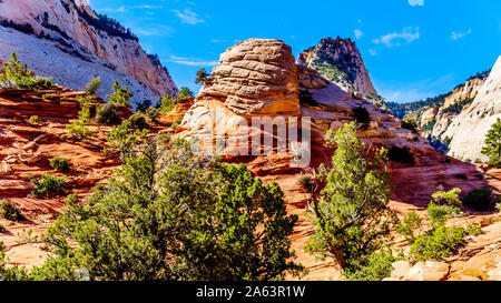 The white, yellow and orange colors of the sandstone Mountains and Mesas along the Zion-Mt.Carmel Highway on the East Rim of Zion National Park in UT Stock Photo