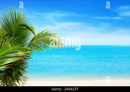 Beautiful white sand beach on blue sea water, white clouds background, green palm tree leaves closeup exotic tropical paradise island vacation concept Stock Photo