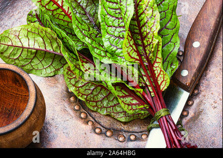 Bunch of fresh sorrel.Sorrel bloody mary and knife Stock Photo
