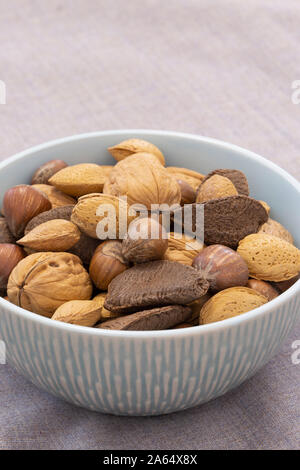 Mixed nuts, including almonds, hazelnuts, walnuts and Brazil nuts, in shells in a bowl.  Grey cloth background Stock Photo