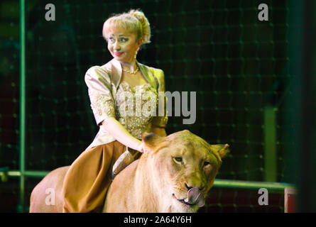 performance of a trainer of lions in a circus Stock Photo