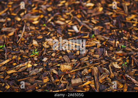 Close up background image showing a wood covered path in central REykjavik, wet in autumn Stock Photo