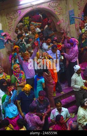 People celebrating Holi festival of colour, Banke Bihari Temple, Uttar Pradesh, India, Asia Stock Photo