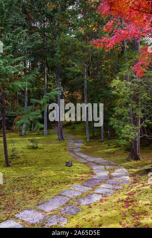 A small footpath in a garden surrounded by forest and plants in autumn, with red maple trees, in Saihoji Temple in Kyoto, Japan Stock Photo