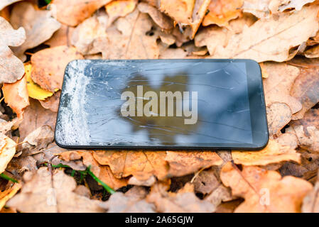 Broken touch phone on a background of autumn leaves on the grass.silhouette maple leaf, autumn concept. Stock Photo