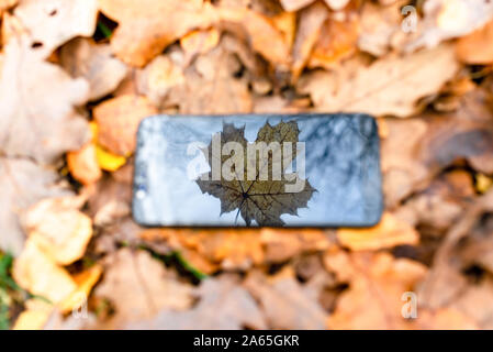 Broken touch phone on a background of autumn leaves on the grass.silhouette maple leaf, autumn concept. Stock Photo