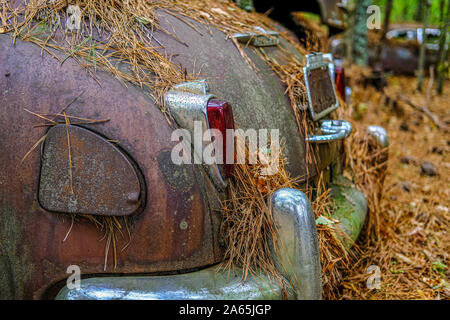 Tail LIght and Trunk on an Old Car in a Junkyard Stock Photo