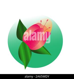 Pink Flower vector logo in a round frame. Stock Vector