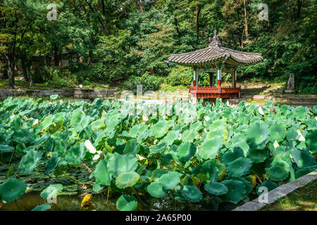 Huwon secret garden view at Changdeokgung Palace with view of Aeryeonji lotus pond and Aeryeonjeong pavilion in Seoul South Korea