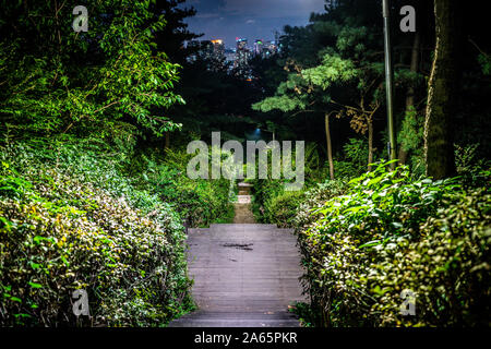 Path down Namsan mountain park at night with city from a distance in Seoul South Korea Stock Photo